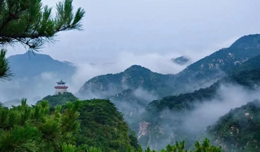 森”呼吸，慢时光！莱芜夏日绿境之旅即刻启程→
