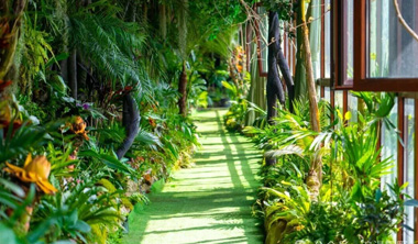 一键get莱芜亲子打卡！从青铜到王者，全家嗨玩超省心→