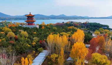 初冬莱芜的高饱和度美景，才是真“顶流”！