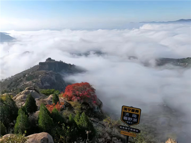 三月春风暖，女神绽芳华！清宁森林小镇——济南版苍山洱海
