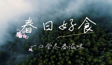 春日好食—雪野儒居