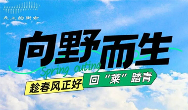 天上的街市|春醒山野，趣游天街